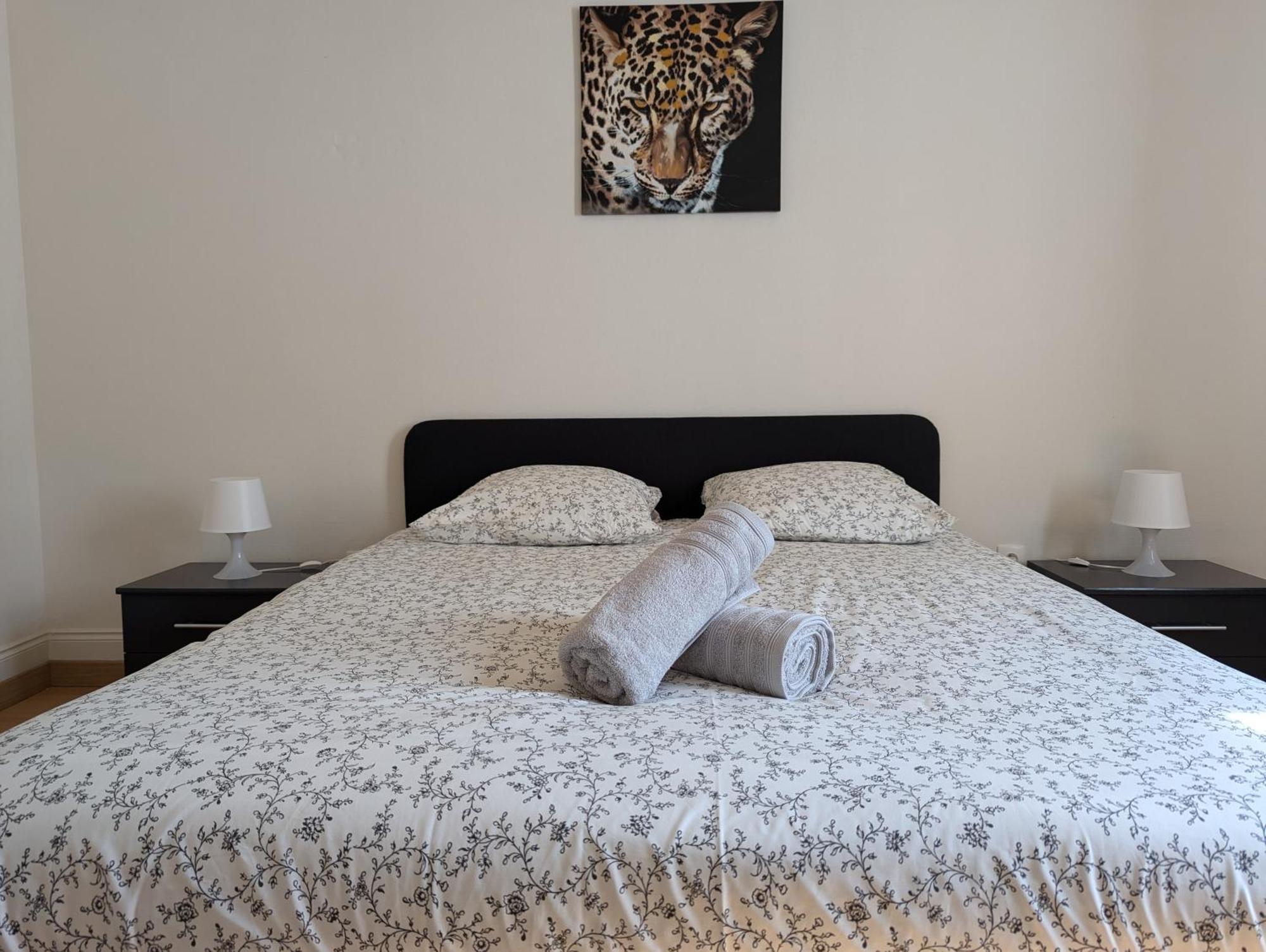 Le Mirage - 2 Chambres, Salon, Cuisine Equipee, Parking Et Wifi Gratuit Appartement Mulhouse
